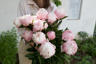 Peony