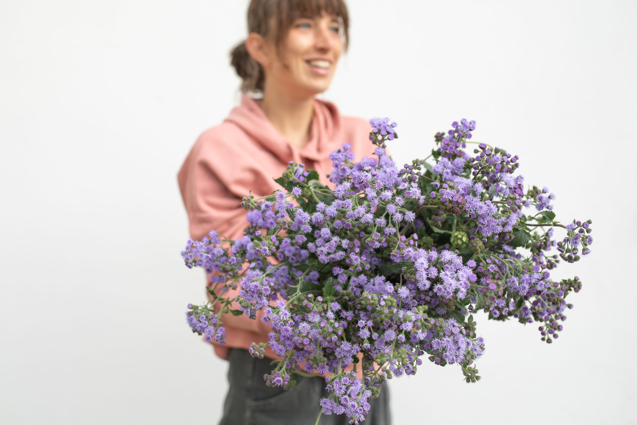 Leverbalsem QIS Bouquet Blue, Loukykvět