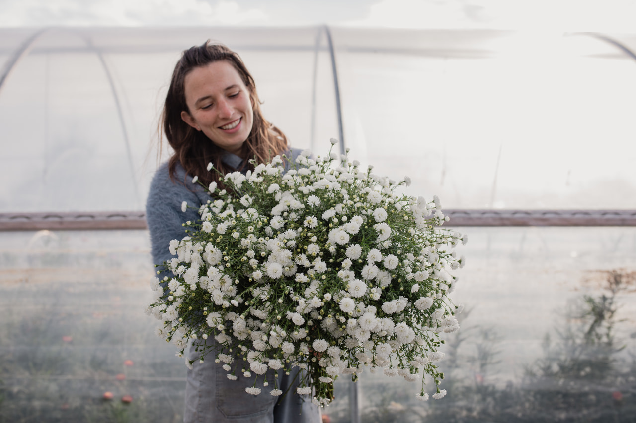 Asteri Blanca, Loukykvět