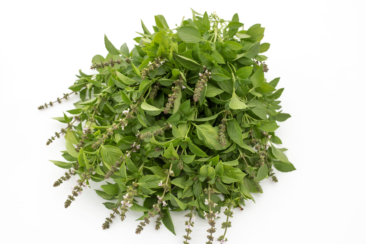 Basilicum Mrs Burns, Loukykvět