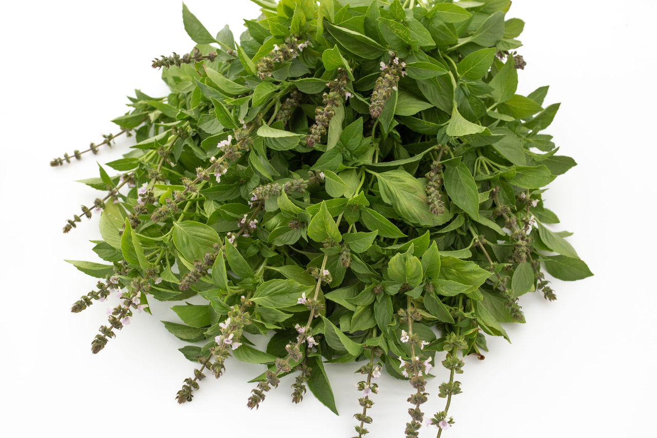 Basilicum Mrs Burns, Loukykvět