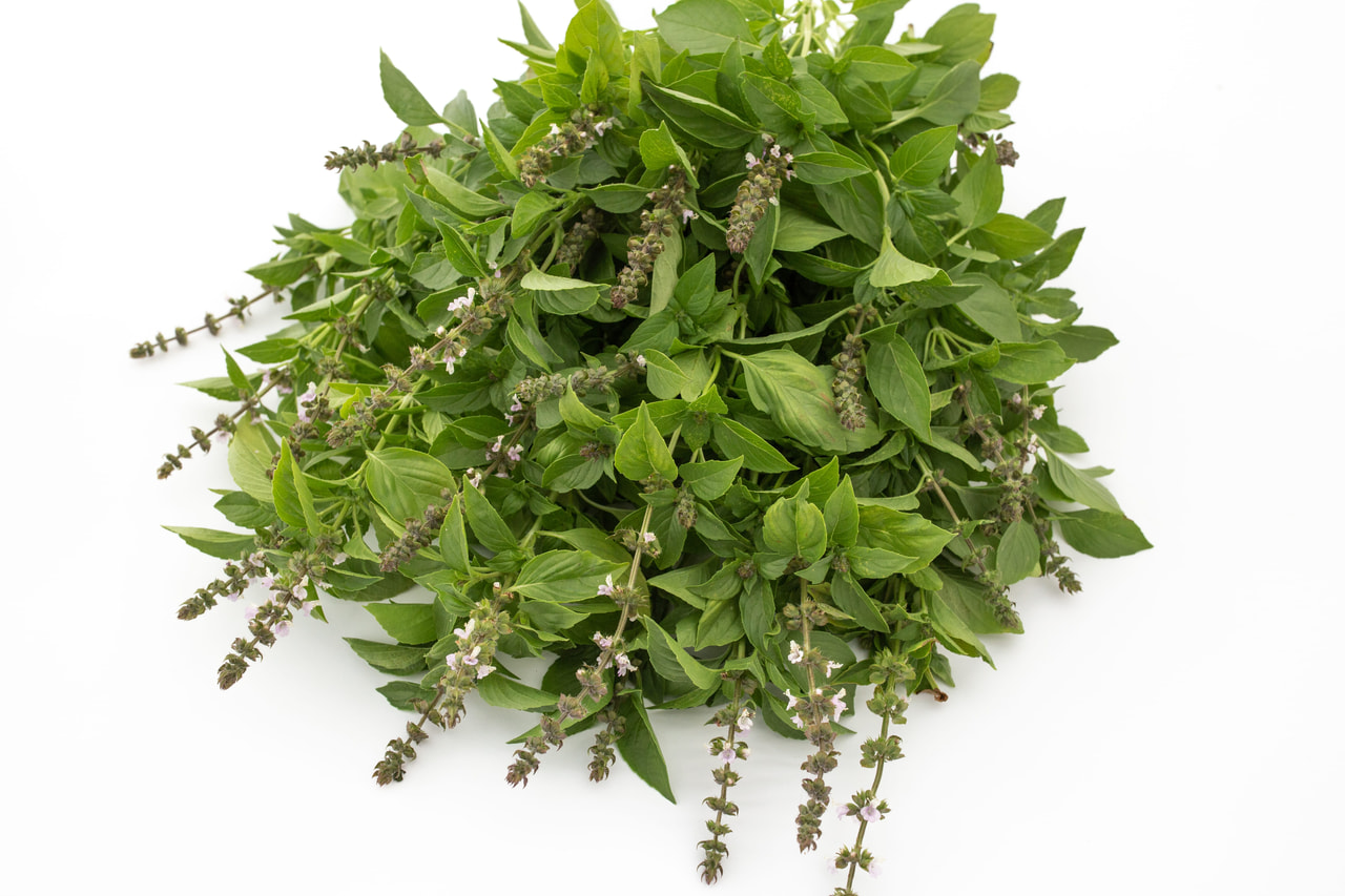 Basilicum Mrs Burns, Loukykvět