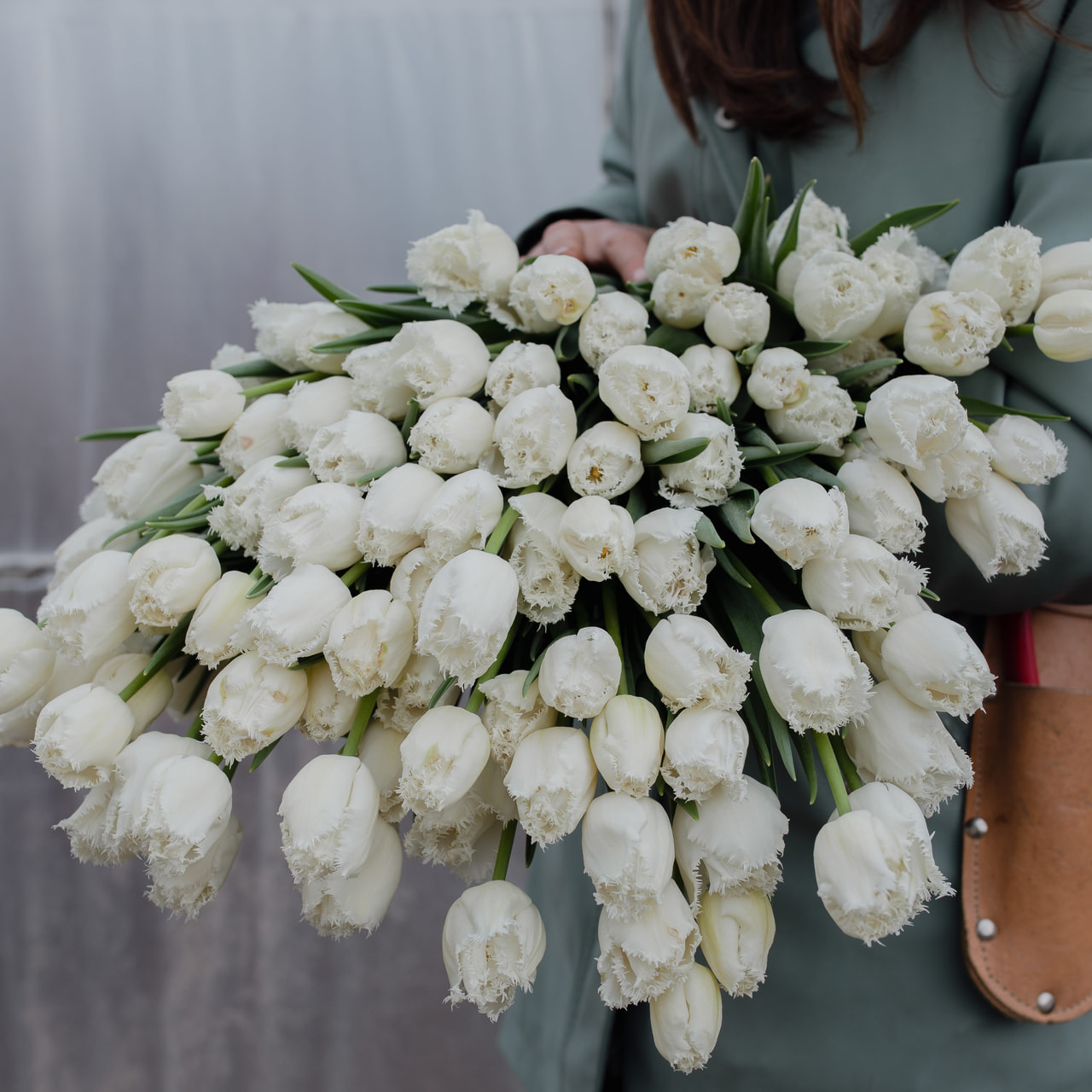 Tulppaani Honeymoon, Loukykvět