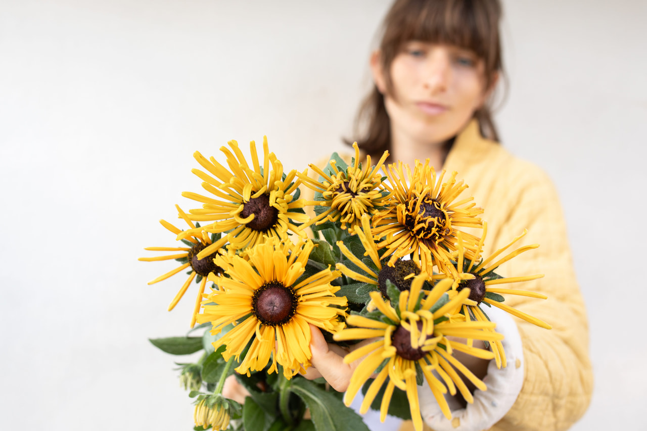 Rudbeckia Chim Chiminee, Loukykvět