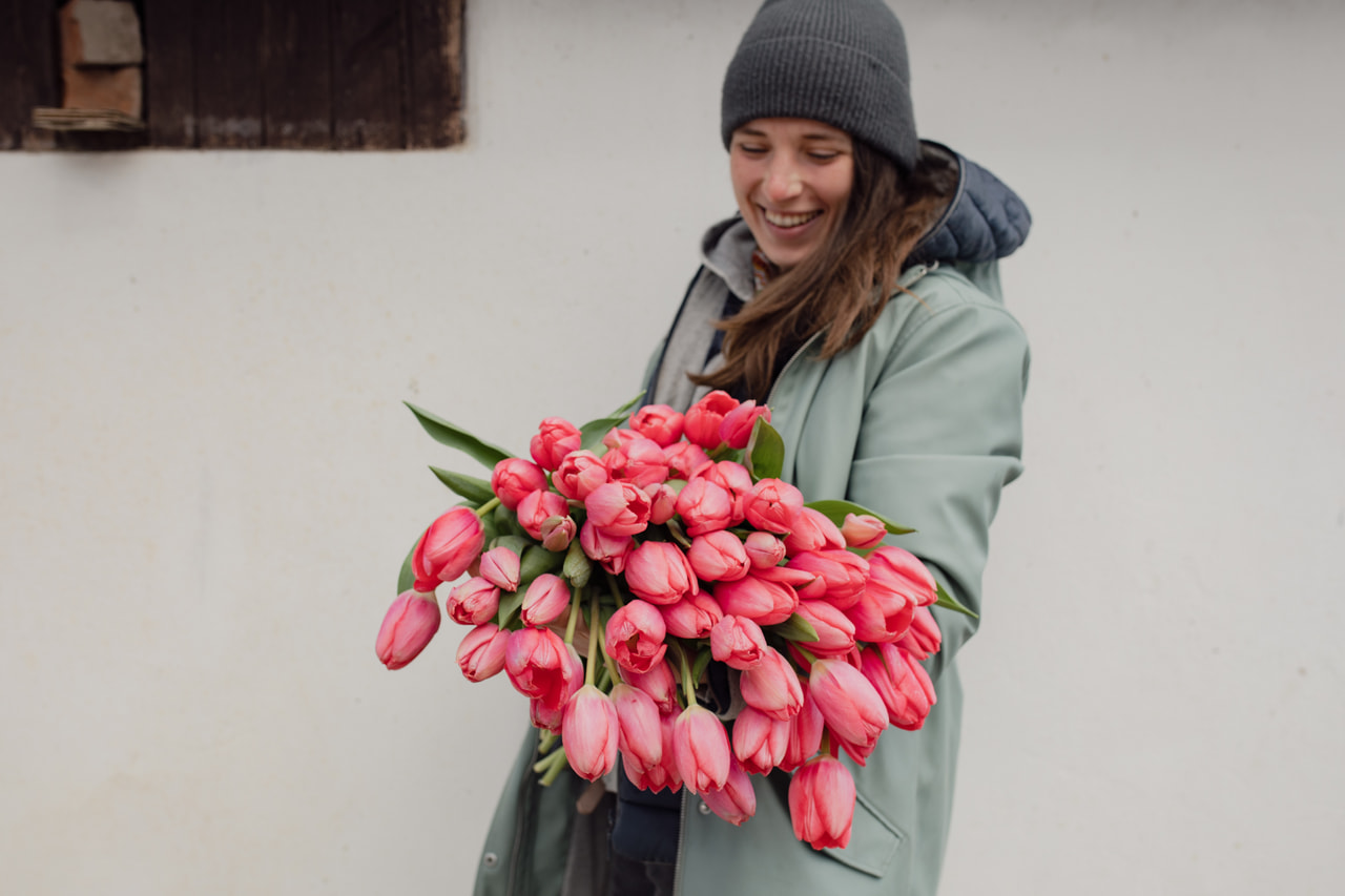 Tulppaani Barre Alta, Loukykvět