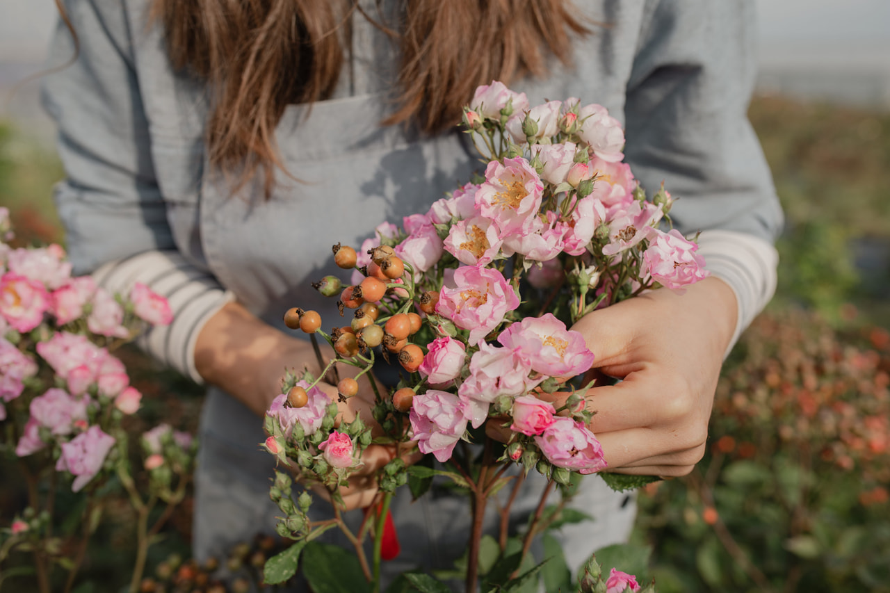 Ruusu Magical Passoa, Loukykvět