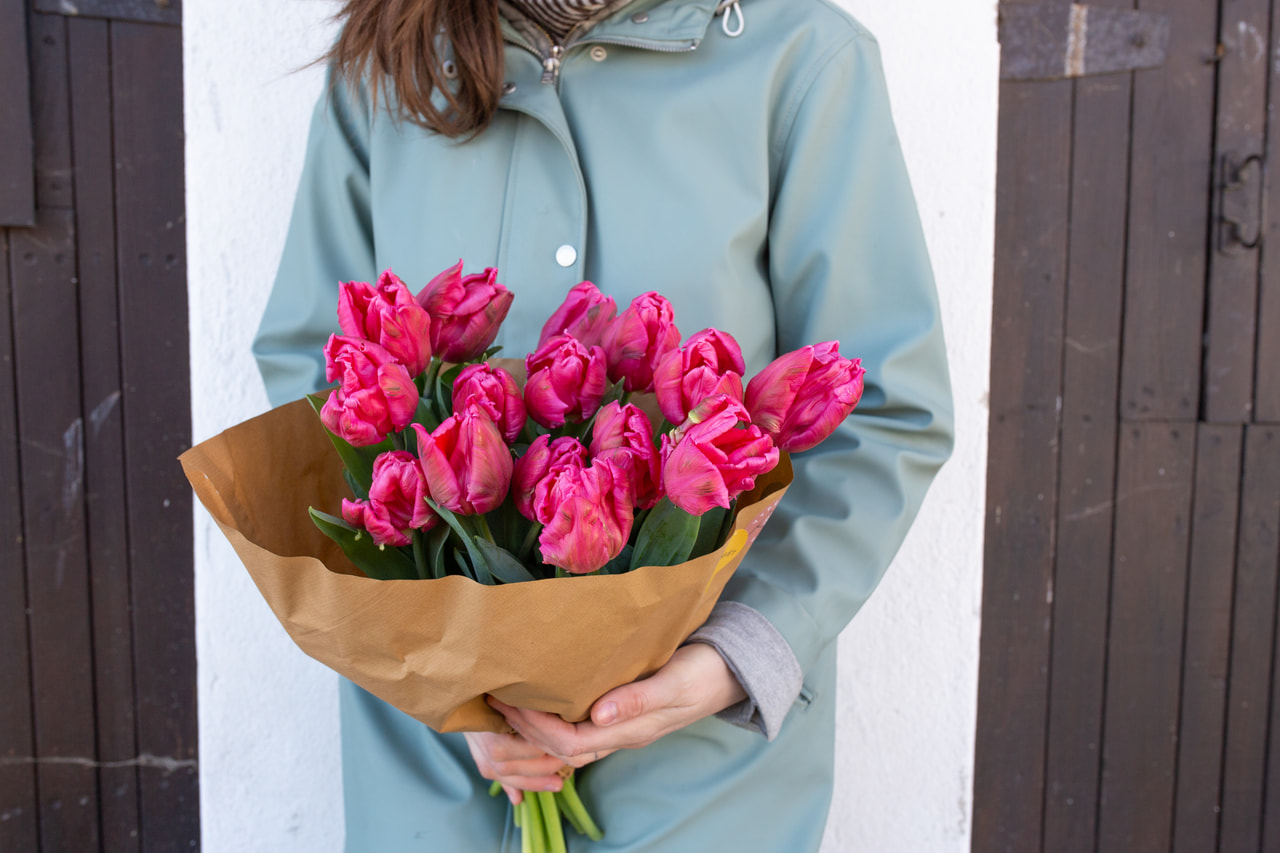 Tulppaani Marvel Parrot, Loukykvět