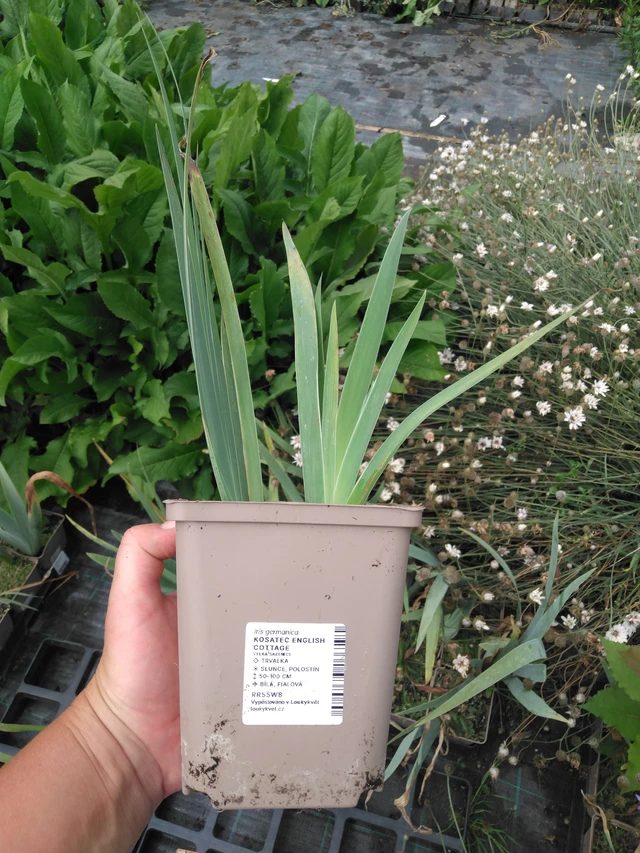 Tarhakurjenmiekka English Cottage - 2024