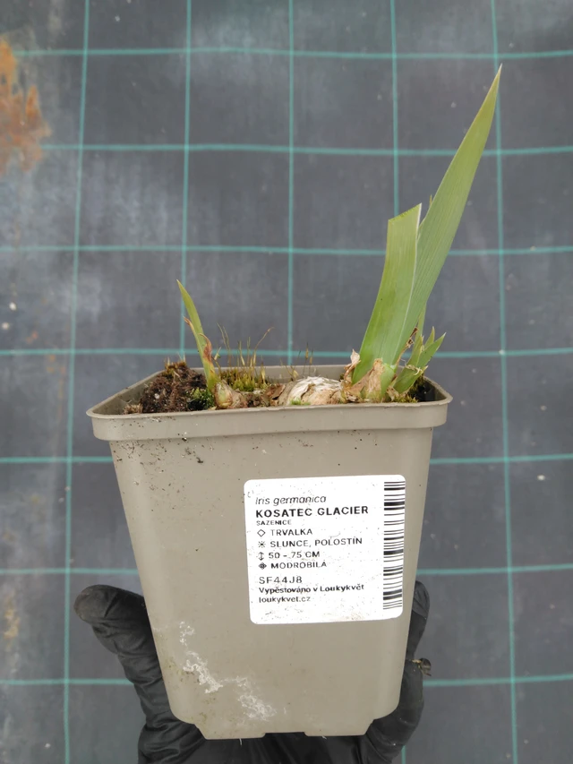 Kurjenmiekka Glacier - 1. 4. 2026