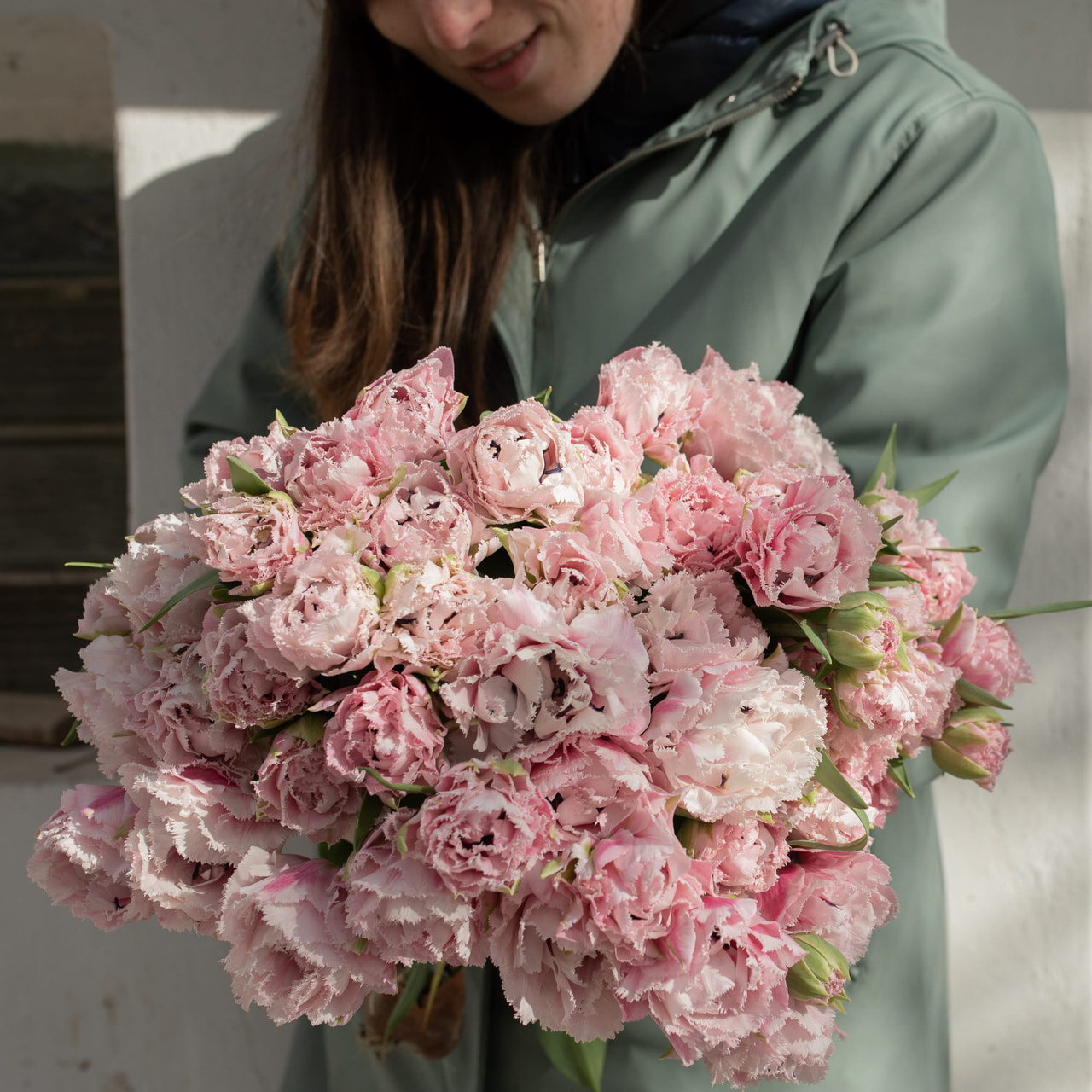 Tulppaani Sugar Crystal, Loukykvět