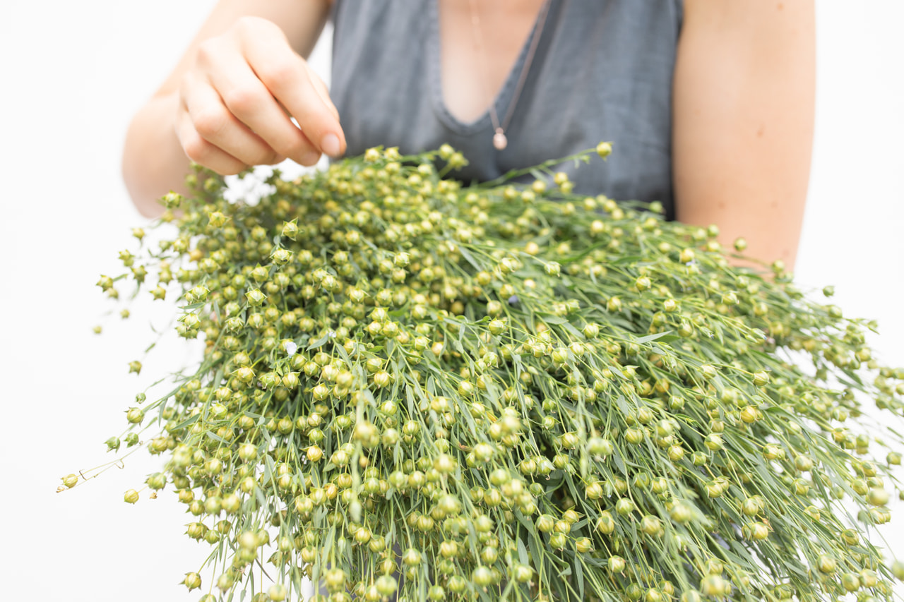 Pellava Sky Blue, Loukykvět