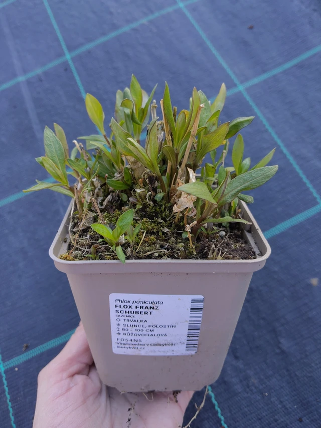 Leimu Franz Schubert - 27. 3. 2026