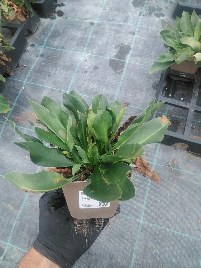 Estatice Robert Butler - 10. 9. 2025