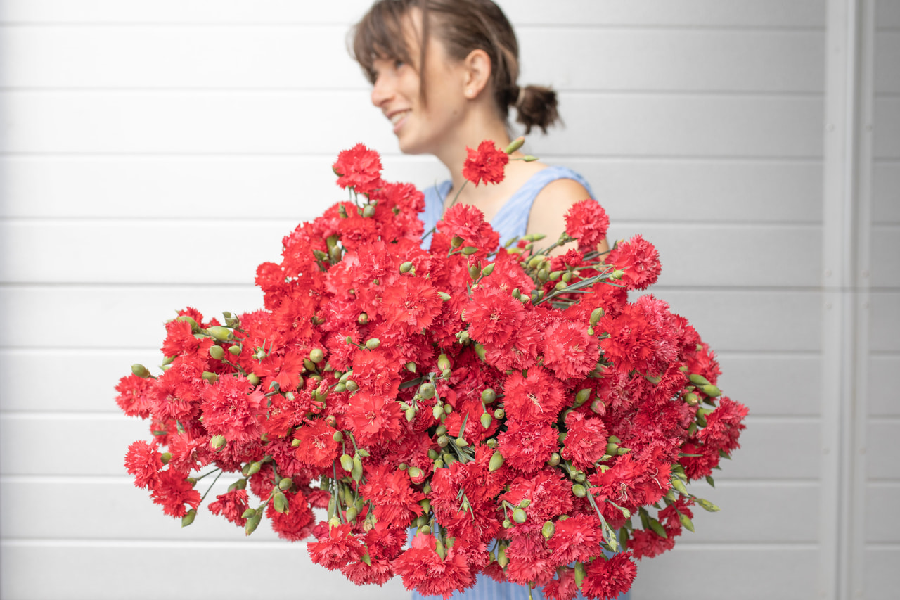 Nellike Chabaud Legion of Honour, Loukykvět