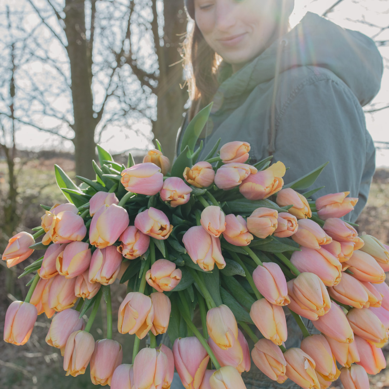 Tulppaani Coral Pride (Zantuel), Loukykvět