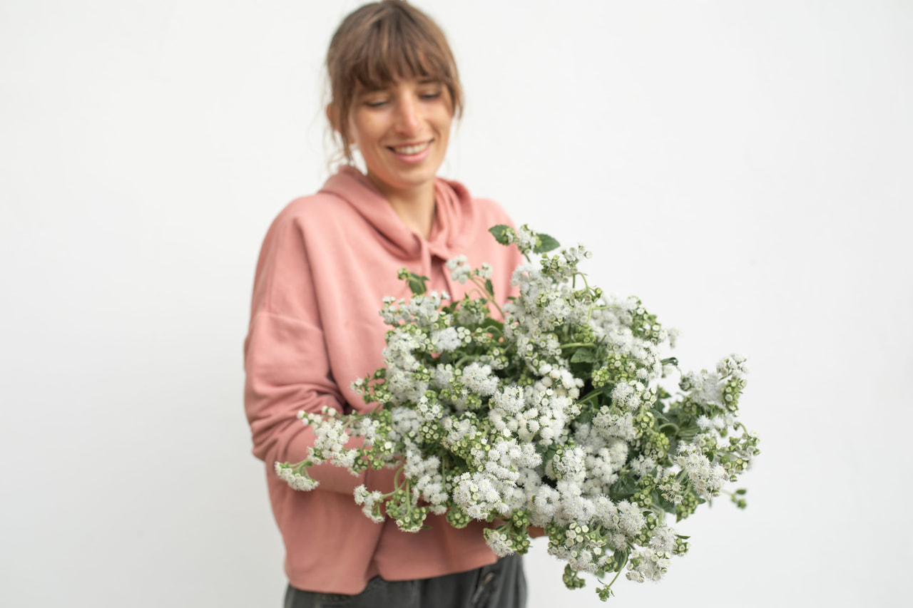 Sinitähtönen QIS Bouquet White, Loukykvět