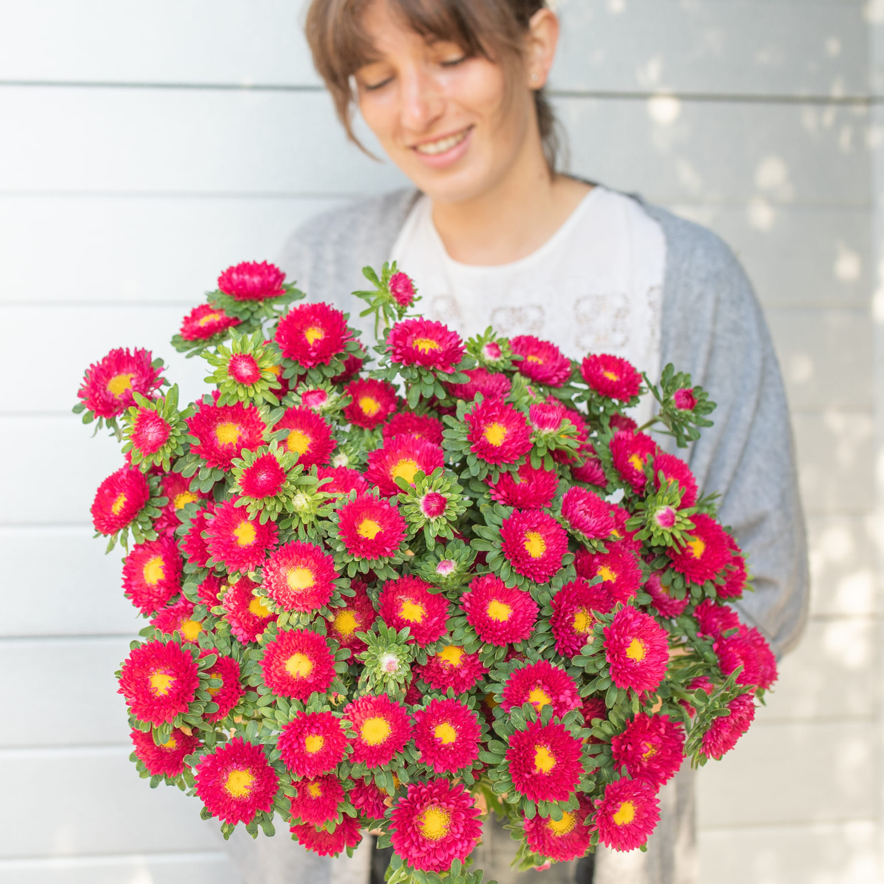 Kiinanasteri Matsumoto Scarlet, Loukykvět