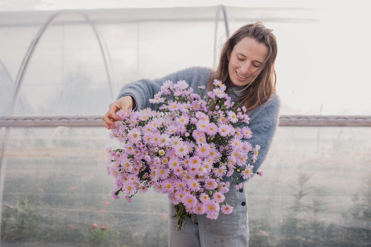 Syysasteri Fellowship, Loukykvět