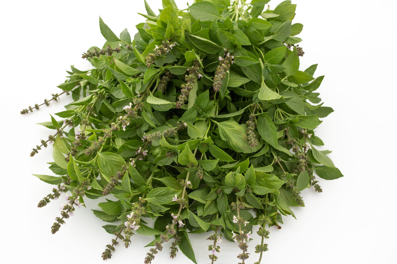 Basilicum Mrs Burns, Loukykvět