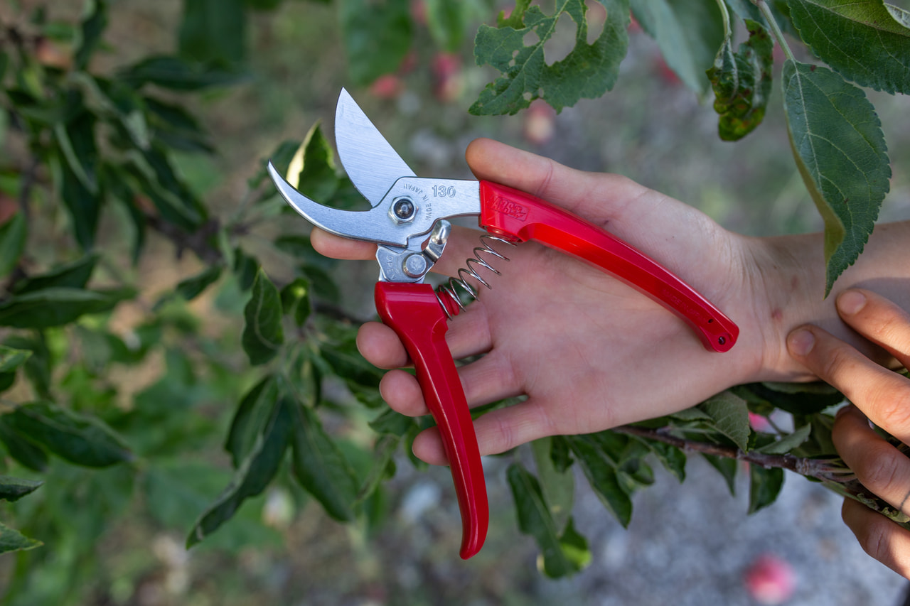 Sécateur pour tiges épaisses et branches, Loukykvět