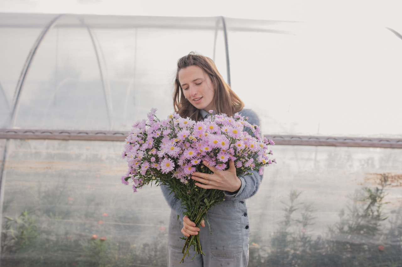 Syysasteri Fellowship, Loukykvět