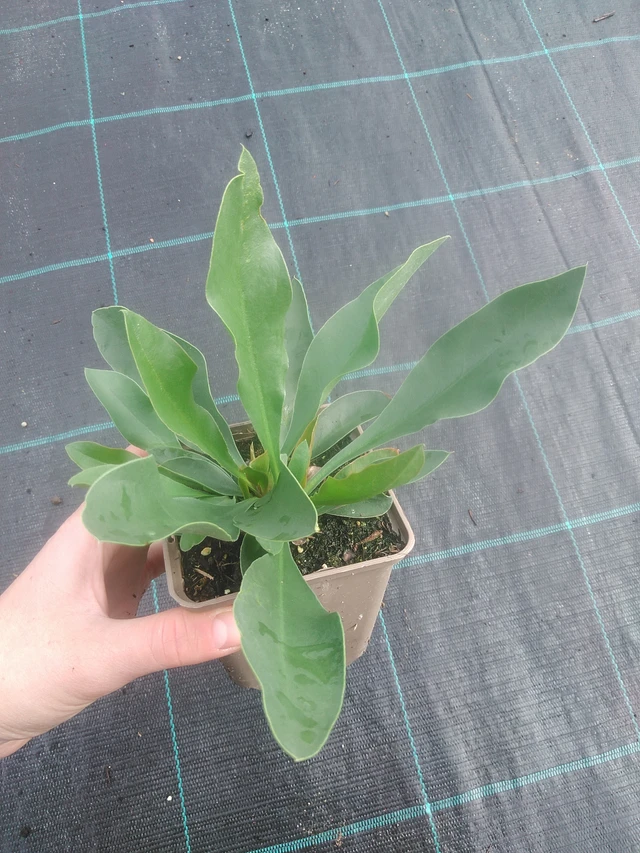 Estatice Robert Butler - 17. 7. 2025