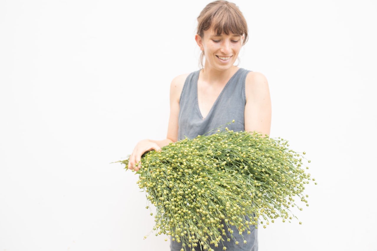 Pellava Sky Blue, Loukykvět