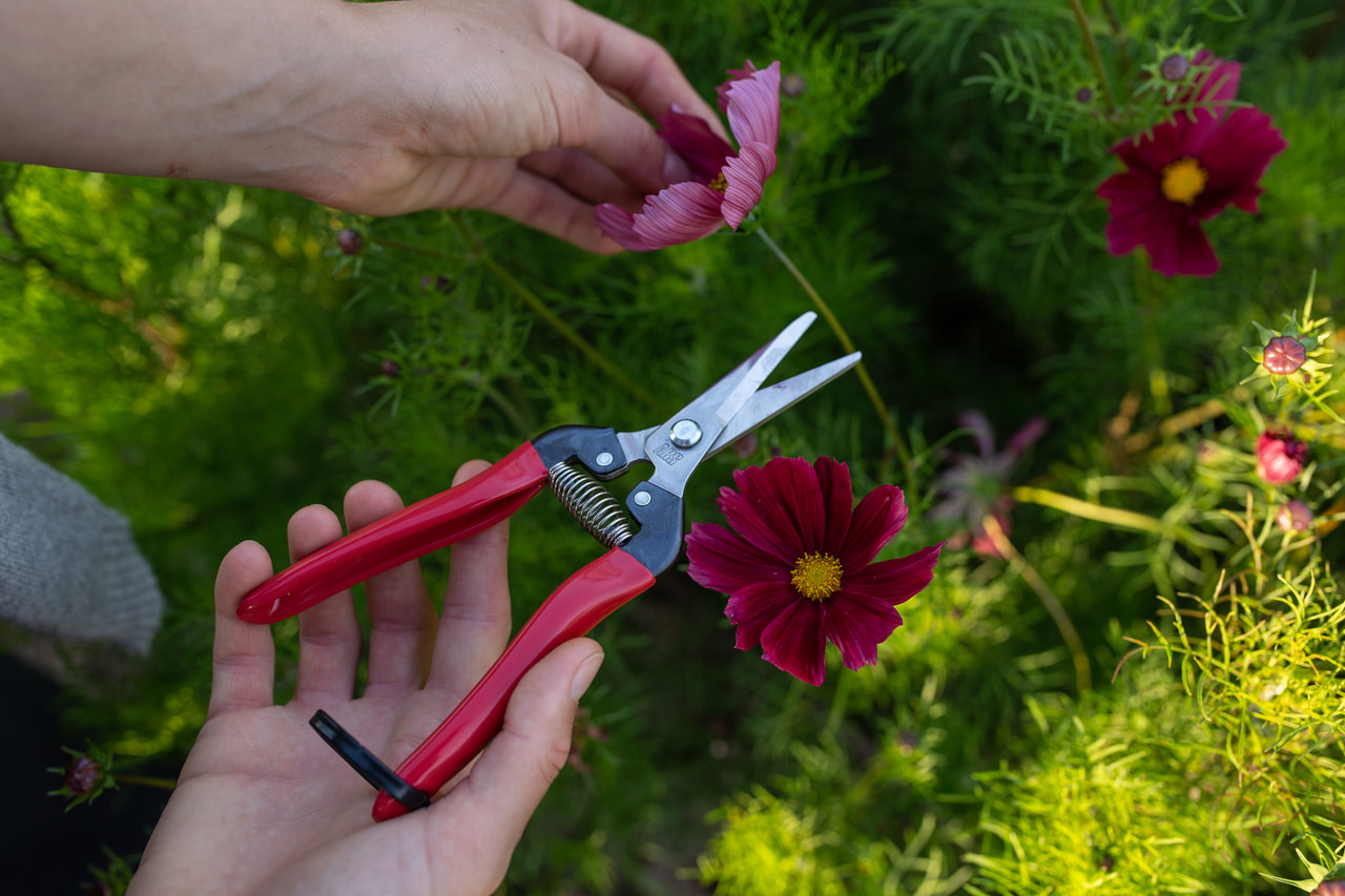 Celokovové floristické nůžky, Loukykvět