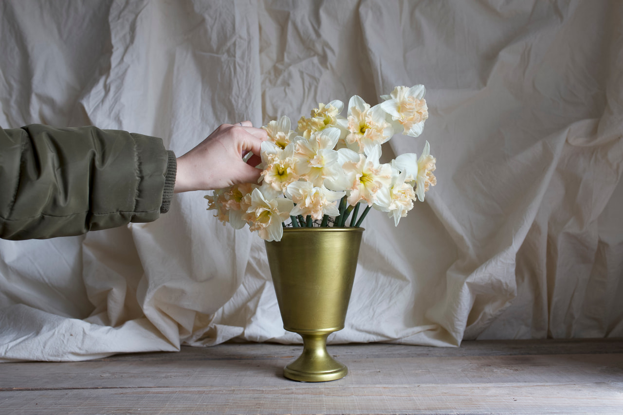 Narsissi Palmares, Loukykvět