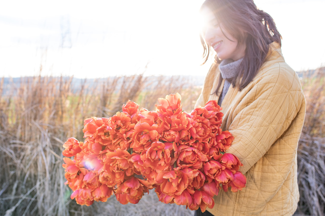 Tulppaani Iccon, Loukykvět
