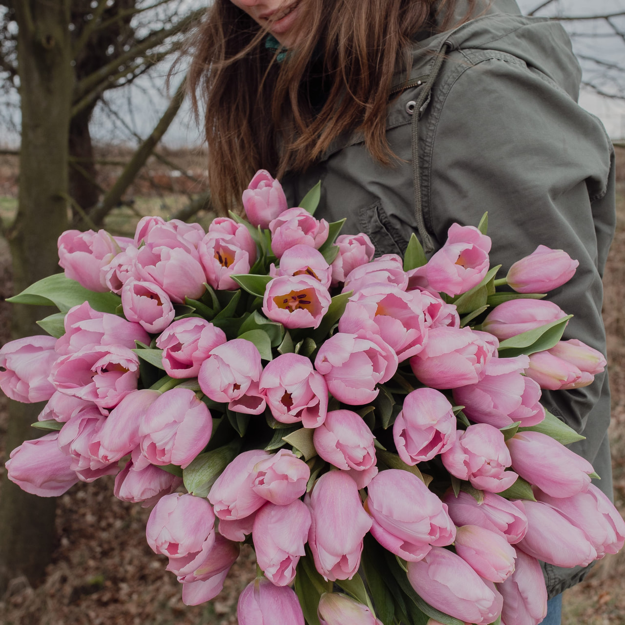 Tulppaani Signum, Loukykvět