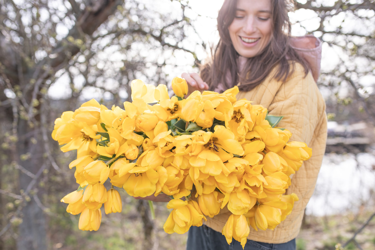 Tulppaani Jaap Groot, Loukykvět
