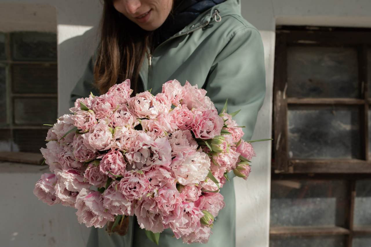Tulppaani Sugar Crystal, Loukykvět