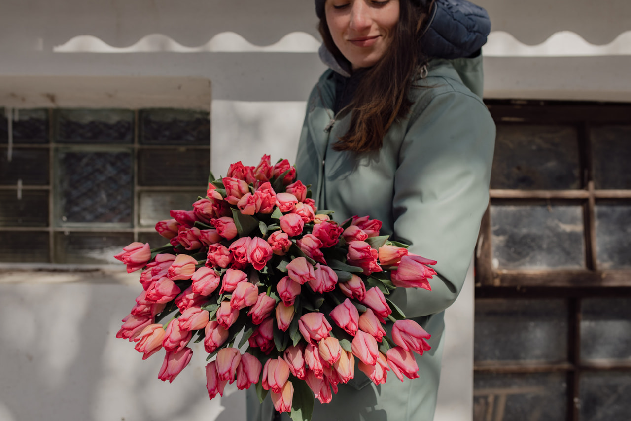 Tulppaani Lydia, Loukykvět