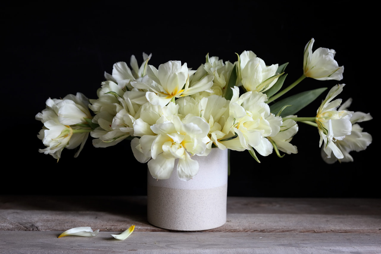 Tulppaani Exotic Emperor, Loukykvět