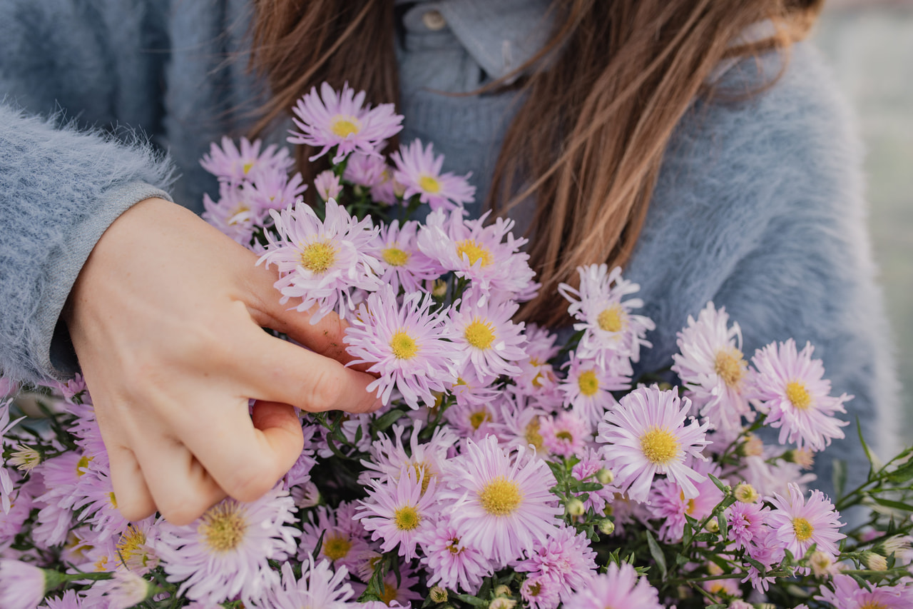 Syysasteri Fellowship, Loukykvět