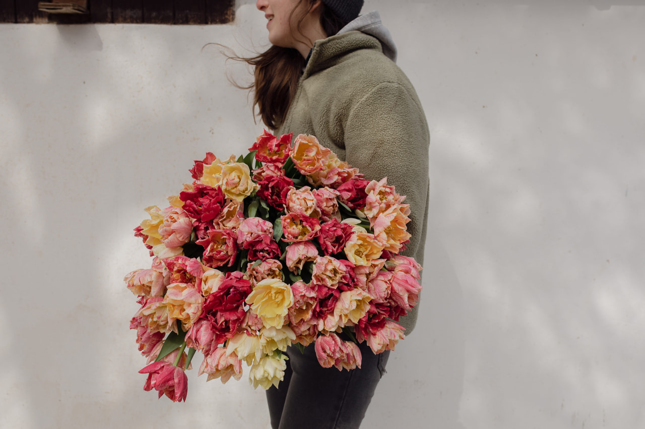 Tulppaani Peptalk, Loukykvět