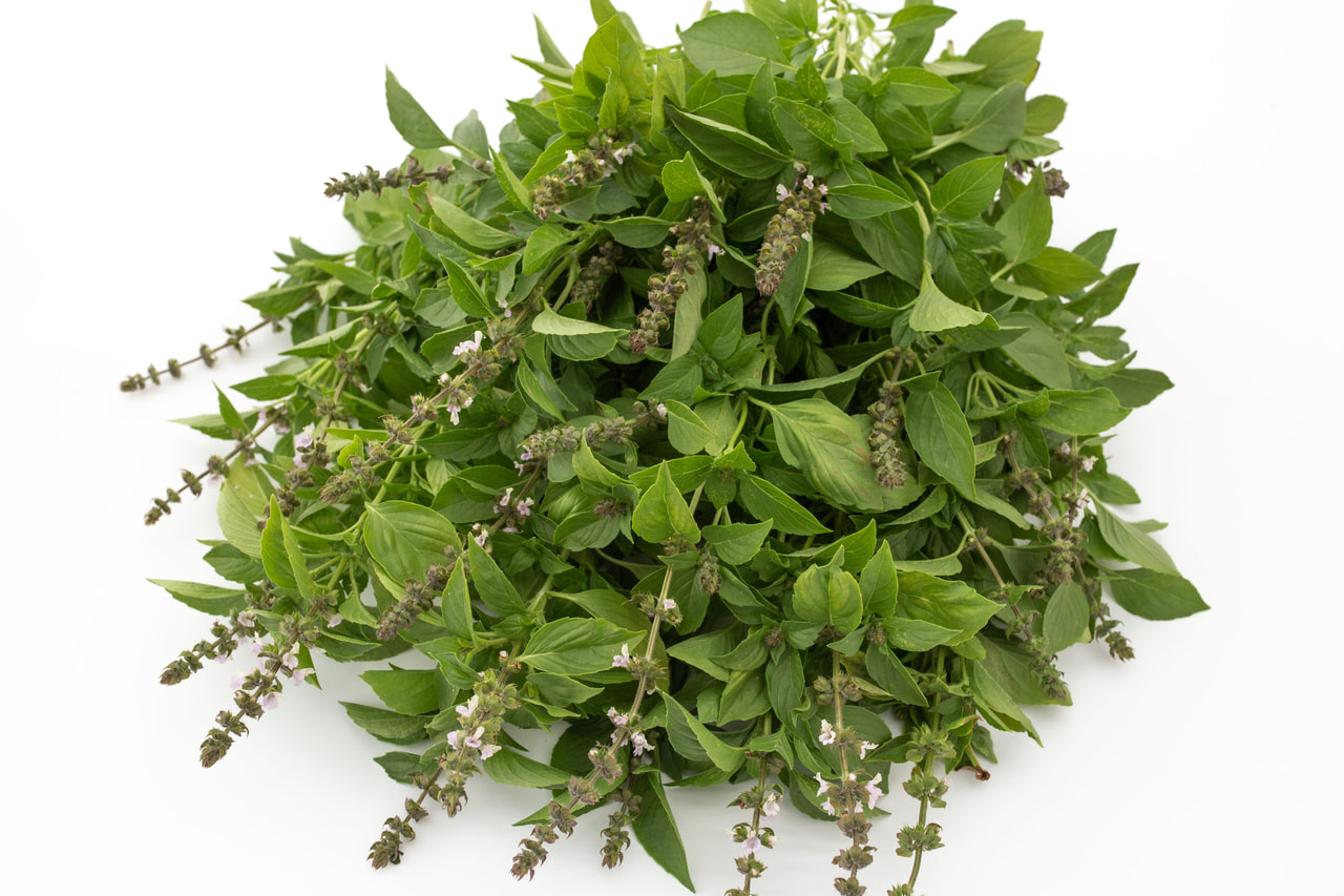 Basilicum Mrs Burns, Loukykvět