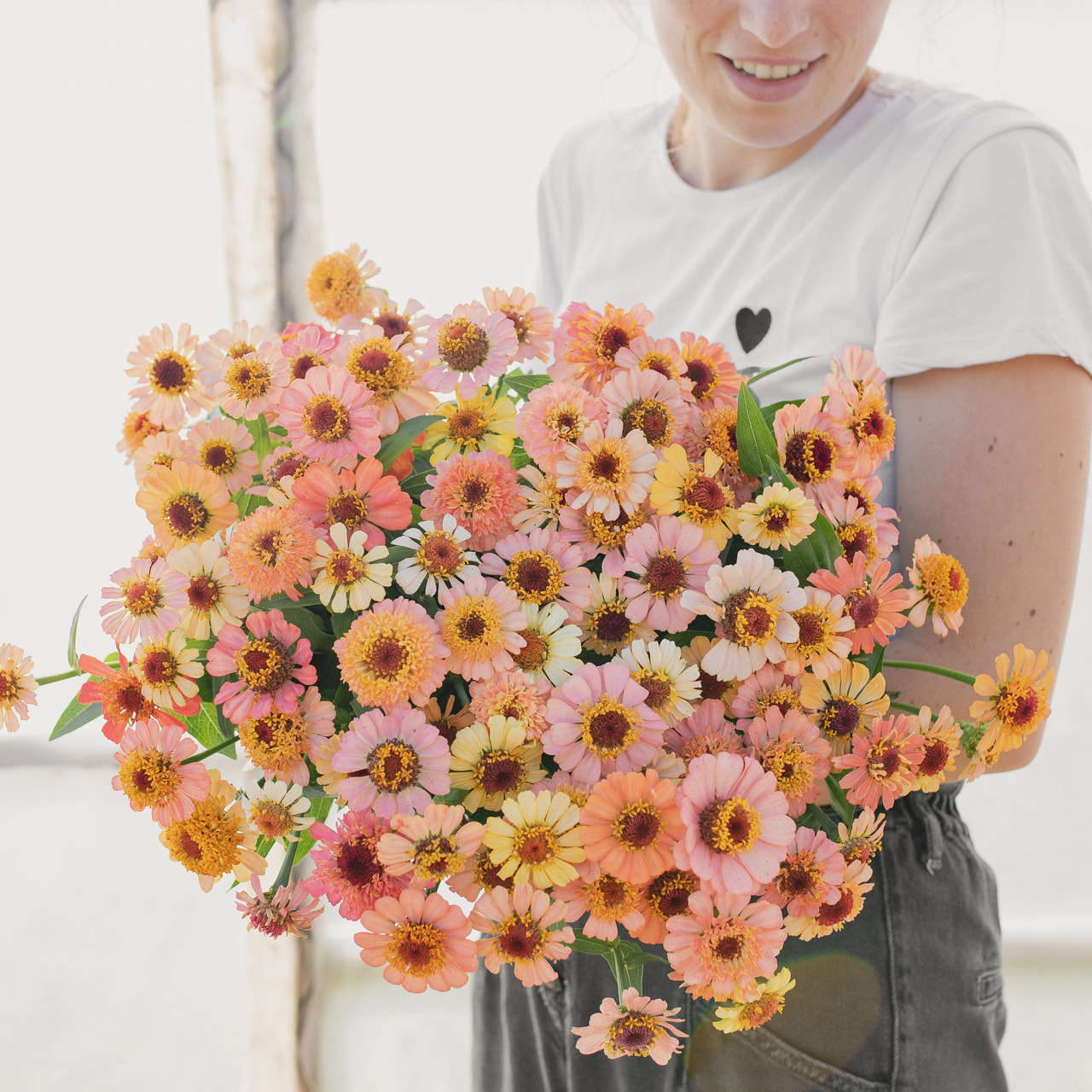 Tsinnia Zinderella Peach, Loukykvět