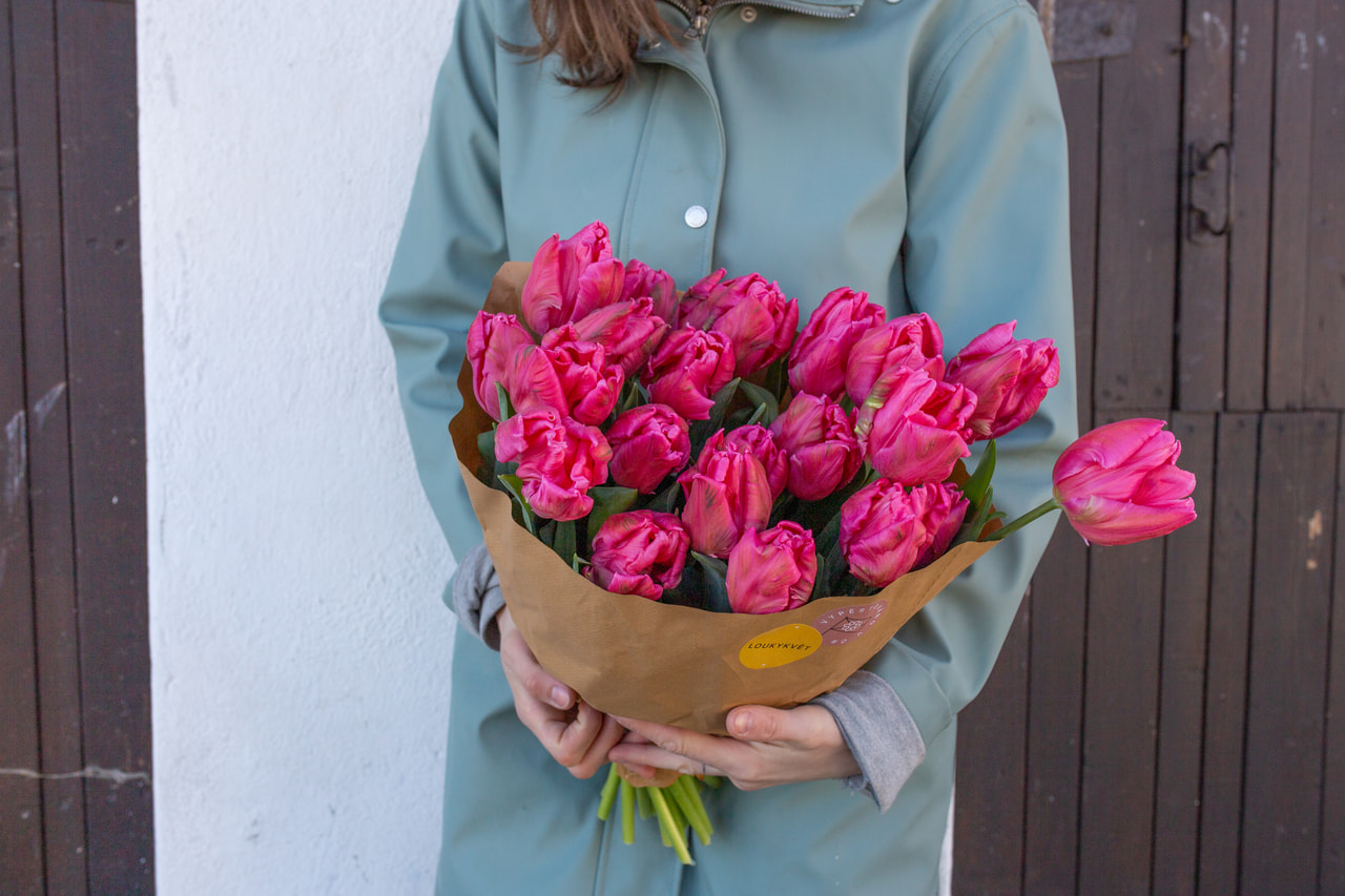 Tulppaani Marvel Parrot, Loukykvět