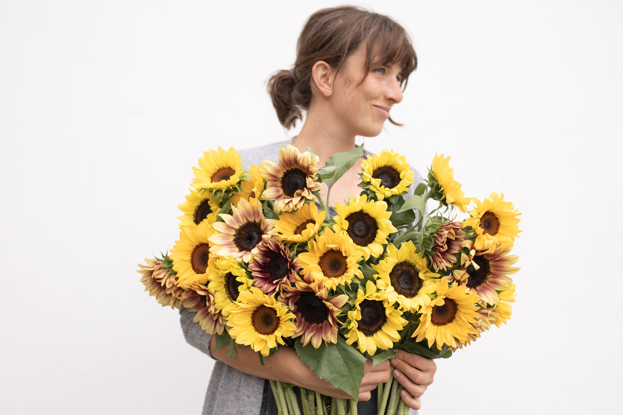 Sunflower ProCut Fruits Mix, Loukykvět