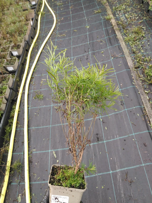 Krásnoočko Zagreb - 23. 10. 2025